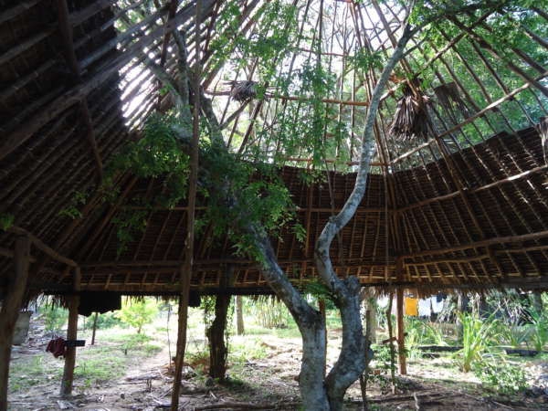 tree dorm construction at distant relatives kilifi