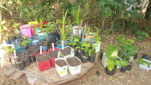 distant relatives kilifi nursery