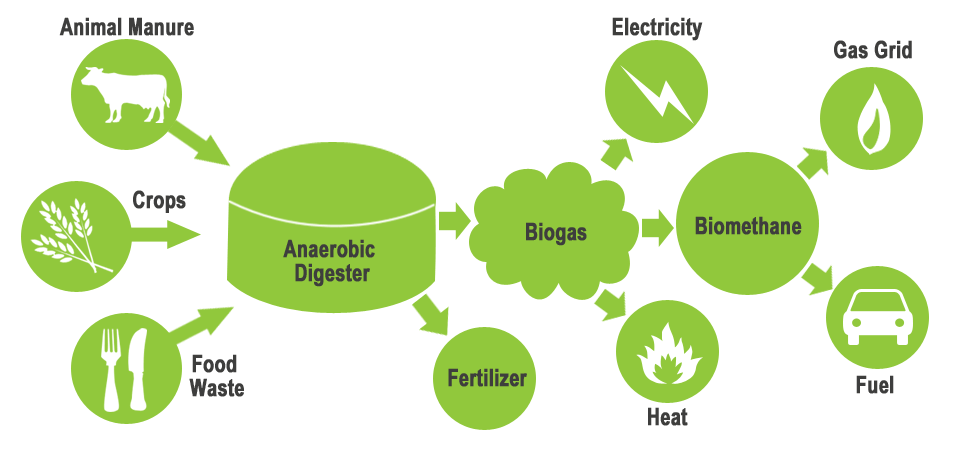 biogas-production-utility-process - Distant Relatives