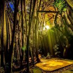 bamboo_shower